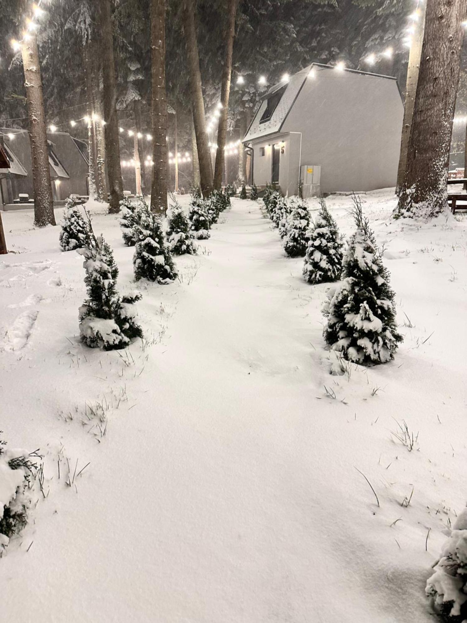 Boro Green Holiday Village Borovets Ngoại thất bức ảnh