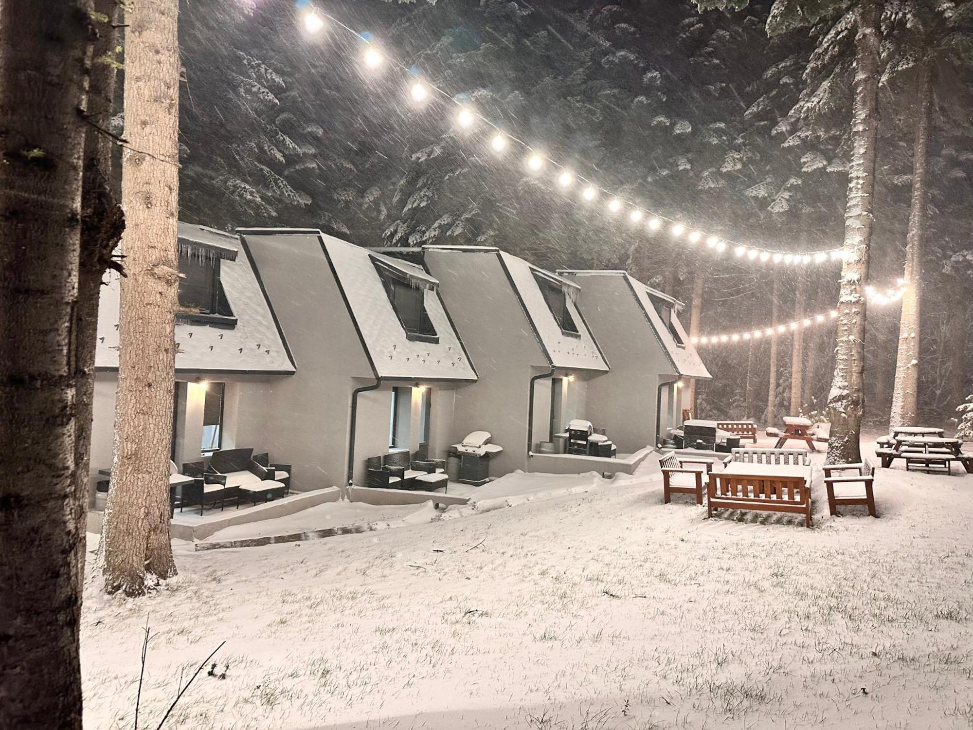 Boro Green Holiday Village Borovets Ngoại thất bức ảnh