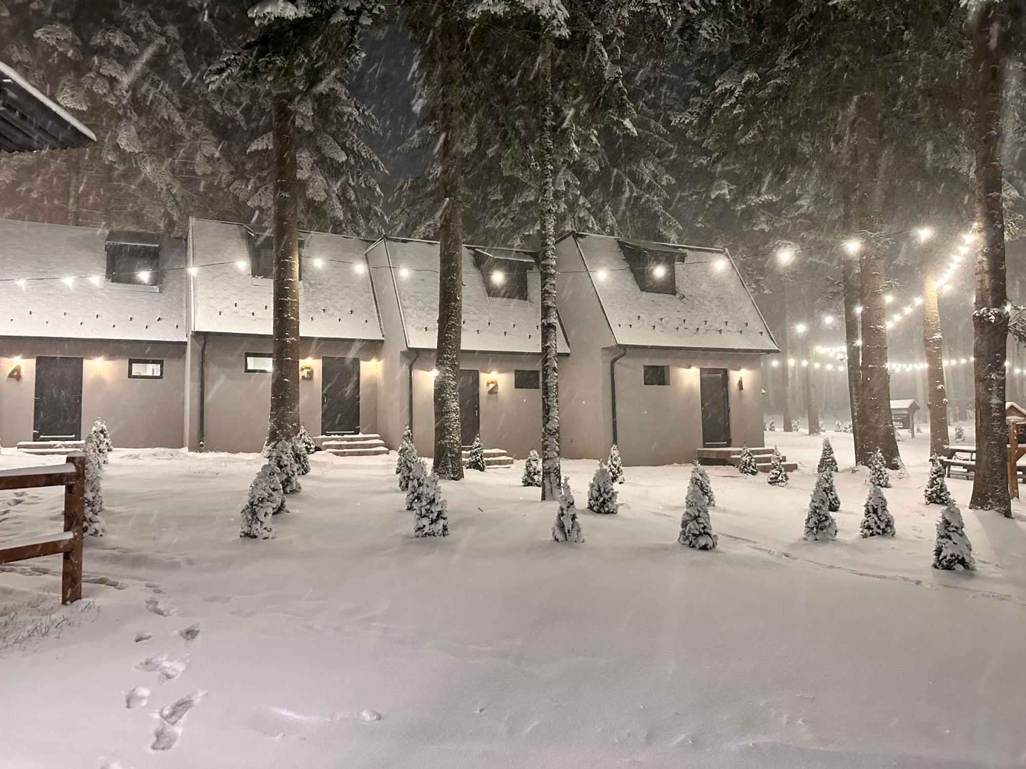 Boro Green Holiday Village Borovets Ngoại thất bức ảnh