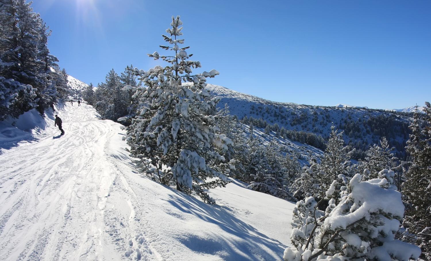Boro Green Holiday Village Borovets Ngoại thất bức ảnh